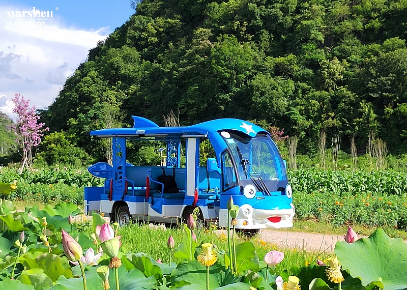 银河正规官网电动造型观光车